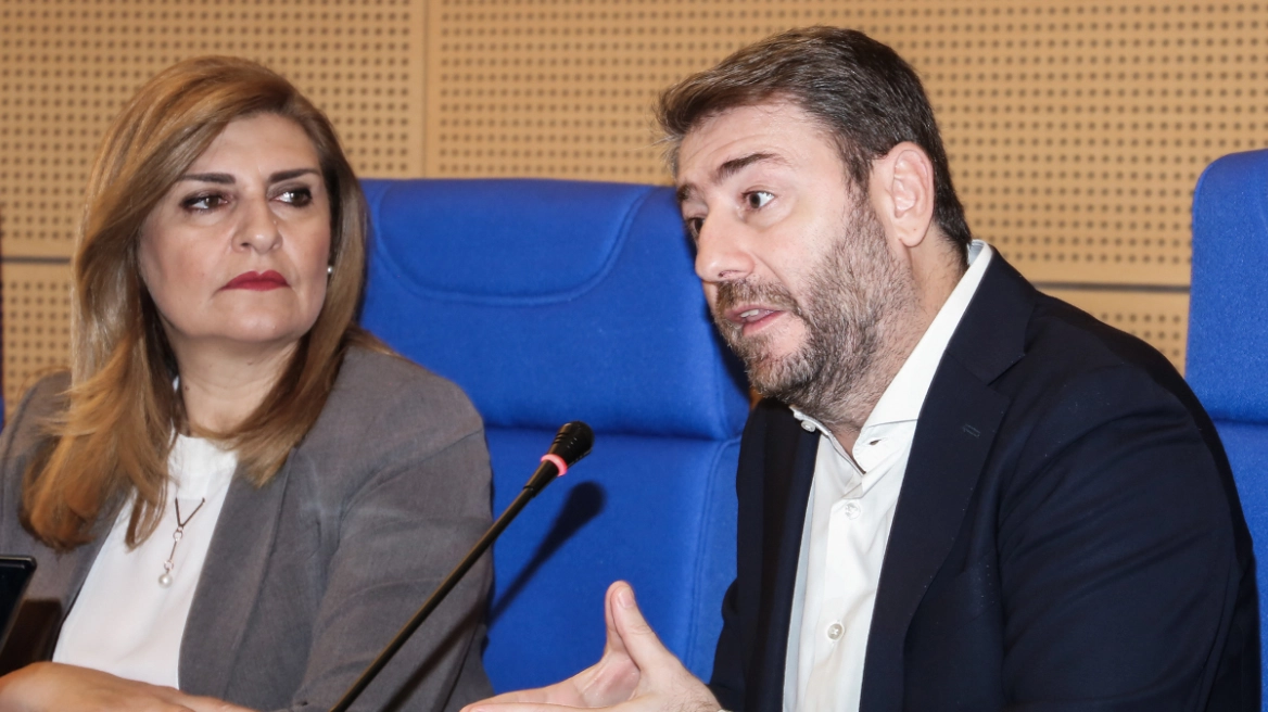 Εκνευρισμός στο ΠΑΣΟΚ μετά τα γκάλοπ: Άκουσε κυρία μου, είπε ο Ανδρουλάκης στη Λιακούλη – «Είμαι εκλεγμένη βουλευτής, όχι η κυρία σου» του απάντησε