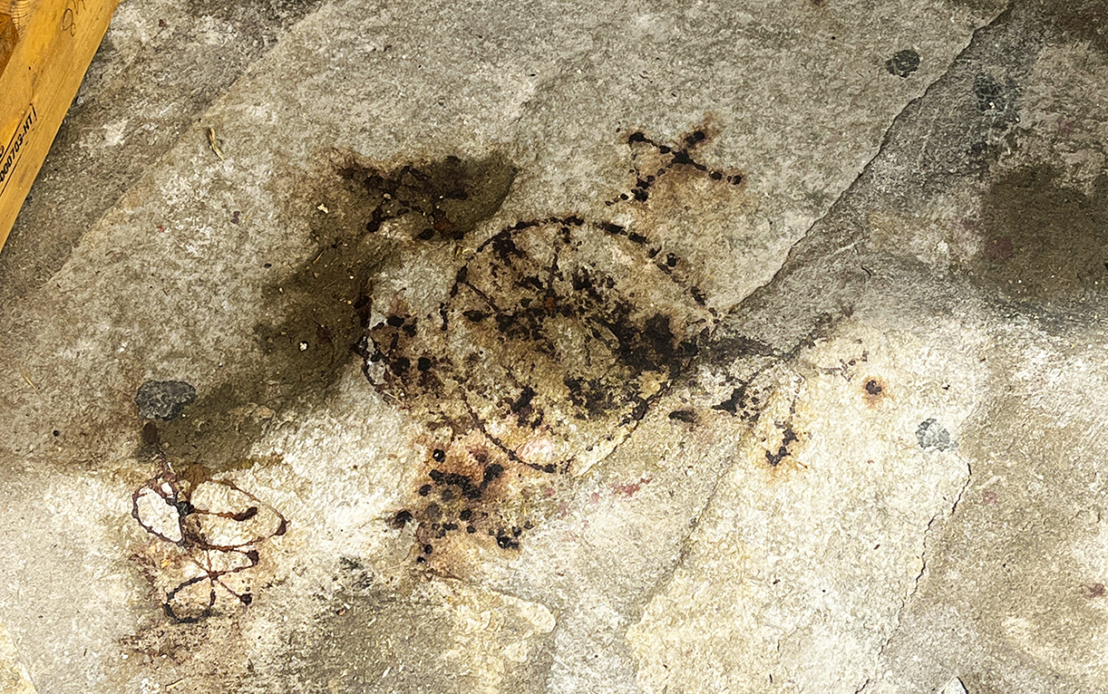 Καβάλα: Ένας σκοτωμένος σκύλος σε σχολείο δίπλα σε “αποκρυφιστικά” σύμβολα (ΦΩΤΟ)