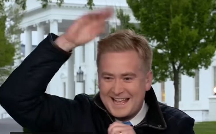 Δημοσιογράφος δέχθηκε επίθεση από πτηνό (Video)