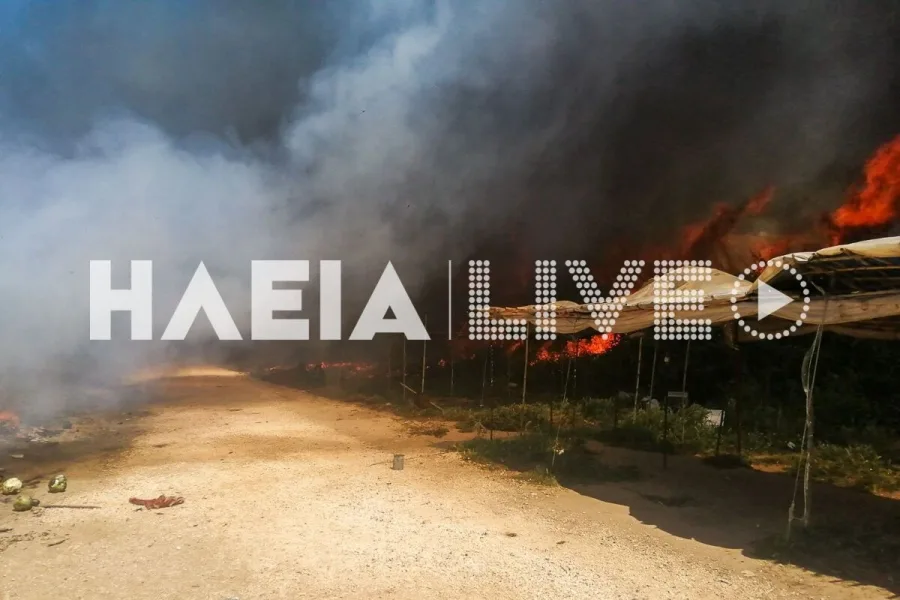 Νέα Μανωλάδα: Συναγερμός για μεγάλη φωτιά σε καταυλισμό εργατών γης – Ακούγονται εκρήξεις