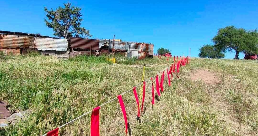 Θεσσαλονίκη: Έτσι αποτρέπουν τους λύκους από επιθέσεις σε κτηνοτροφικές μονάδες (ΦΩΤΟ)