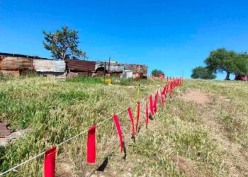 Θεσσαλονίκη: Έτσι αποτρέπουν τους λύκους από επιθέσεις σε κτηνοτροφικές μονάδες (ΦΩΤΟ)