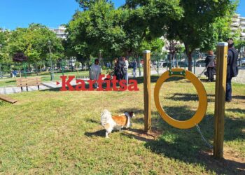 Ένα νέο πάρκο σκύλων στην «καρδιά» της Θεσσαλονίκης (ΦΩΤΟ+Video)
