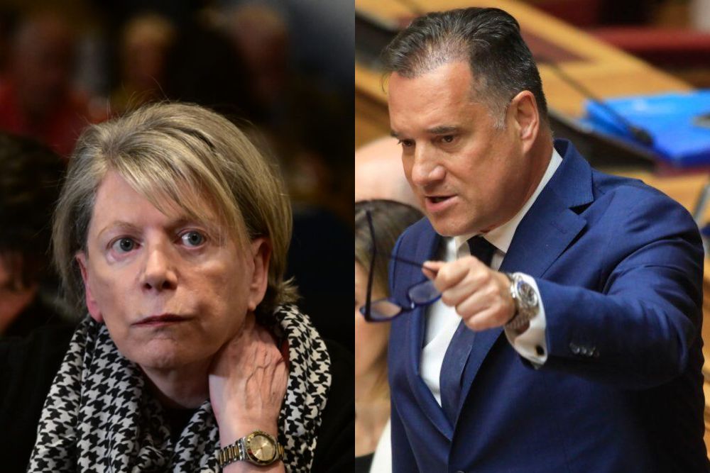 Ο Άδωνις πάει την Ακρίτα στα δικαστήρια