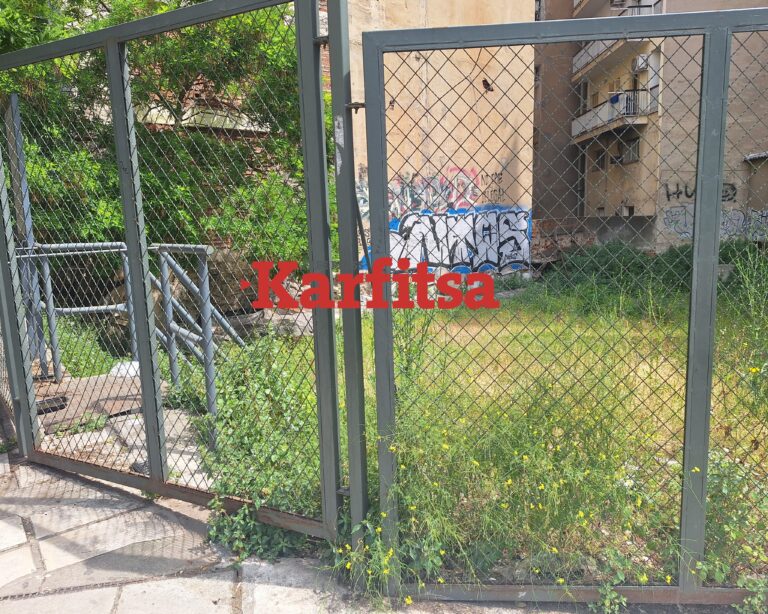 Θεσσαλονίκη: «Ζούγκλα» ο αρχαιολογικός χώρος του Ναού της Αφροδίτης – Αναξιοποίητο στο «σκοτάδι» το μνημείο (ΦΩΤΟ+Video)
