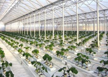 Αυλαία για το πρόγραμμα των σύγχρονων θερμοκήπιων – Πότε ανοίγει η πλατφόρμα