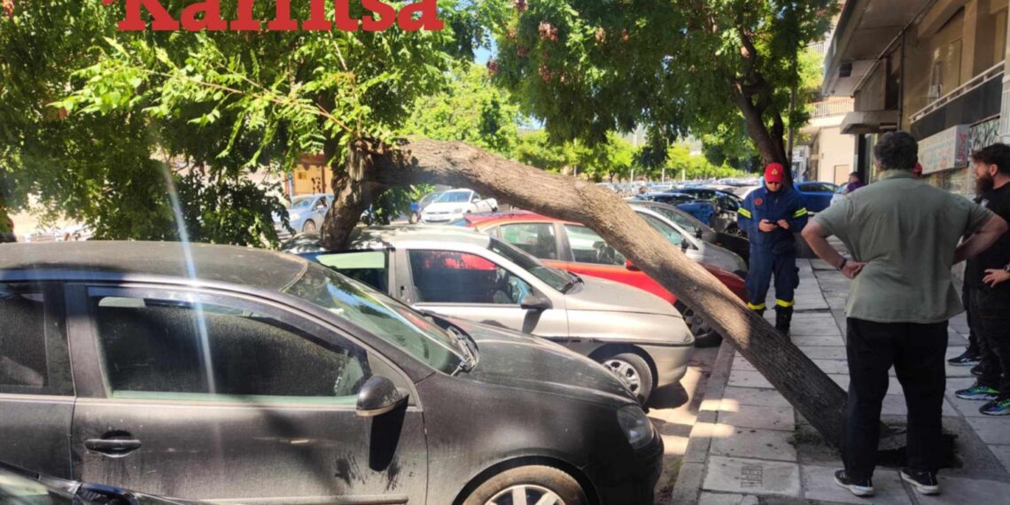 Έγειρε δέντρο από τον αέρα – Κλήθηκε η πυροσβεστική (φωτό)
