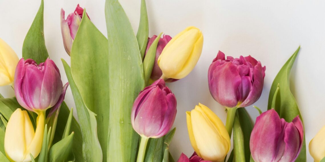 Εορτολόγιο: Ποιοι γιορτάζουν σήμερα 1 Ιουνίου