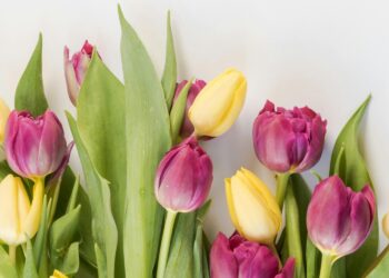 Εορτολόγιο: Ποιοι γιορτάζουν σήμερα 1 Ιουνίου