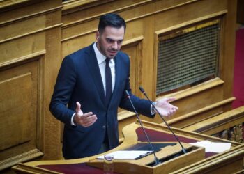 Μανώλης Χριστοδουλάκης: «Η Τουρκία δεν πρέπει να ενταχθεί στον σχεδιασμό για την Ευρωπαϊκή Άμυνα» (video)