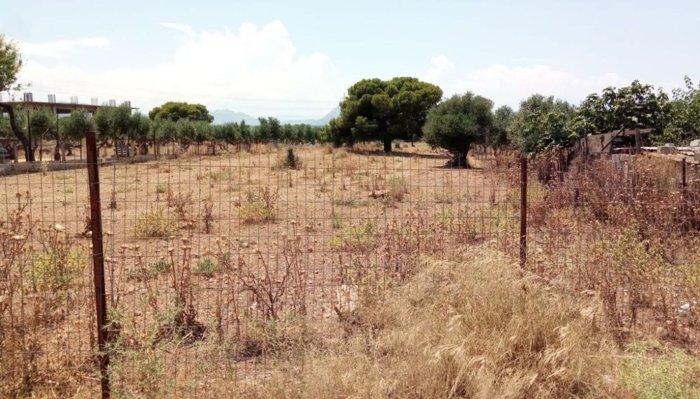 Ακαθάριστα οικόπεδα