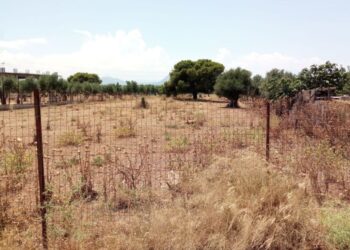 Ακαθάριστα οικόπεδα