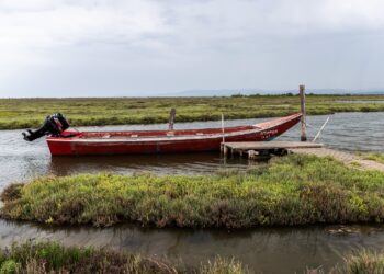 «Στεγνώνει» το Δέλτα του Έβρου