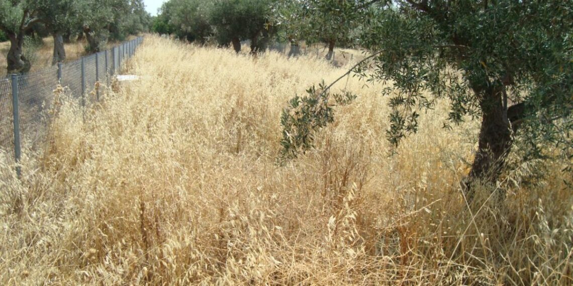 Αδειάζει η κλεψύδρα για τα ακαθάριστα οικόπεδα