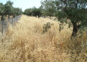 Αδειάζει η κλεψύδρα για τα ακαθάριστα οικόπεδα