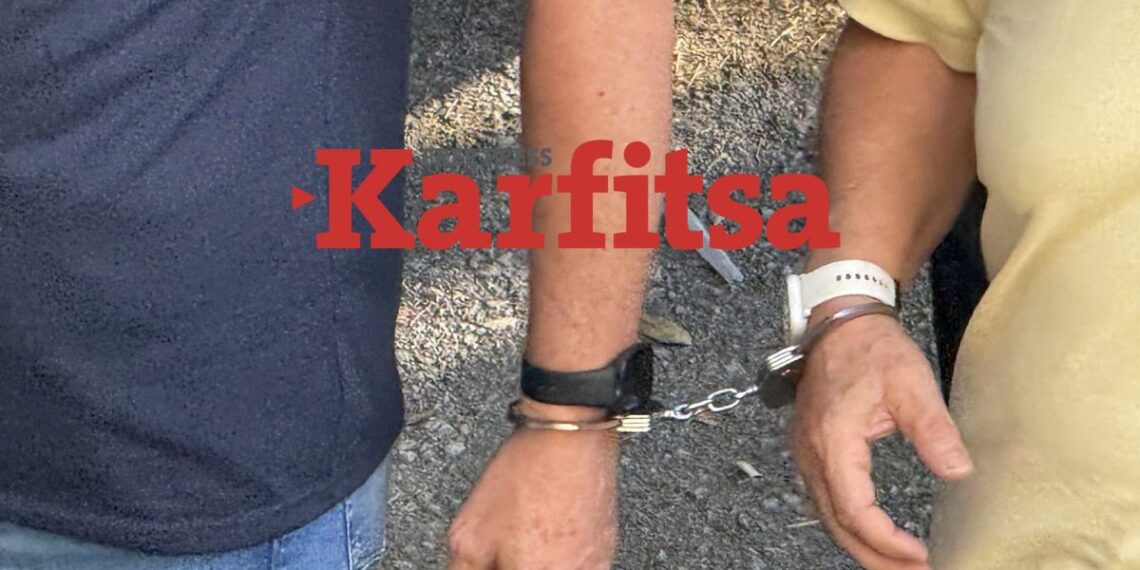 Στον εισαγγελέα οι 20 από τους 39 συλληφθέντες για αρχαιοκαπηλία (ΦΩΤΟ+video)