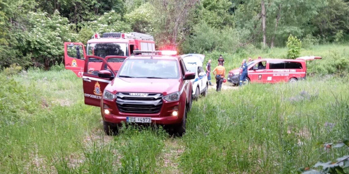 Αρκτούρος: «Αμυντική η συμπεριφορά της αρκούδας, αιφνιδιάστηκε»