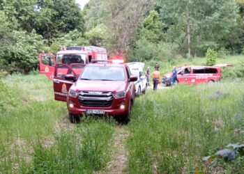 Αρκτούρος: «Αμυντική η συμπεριφορά της αρκούδας, αιφνιδιάστηκε»