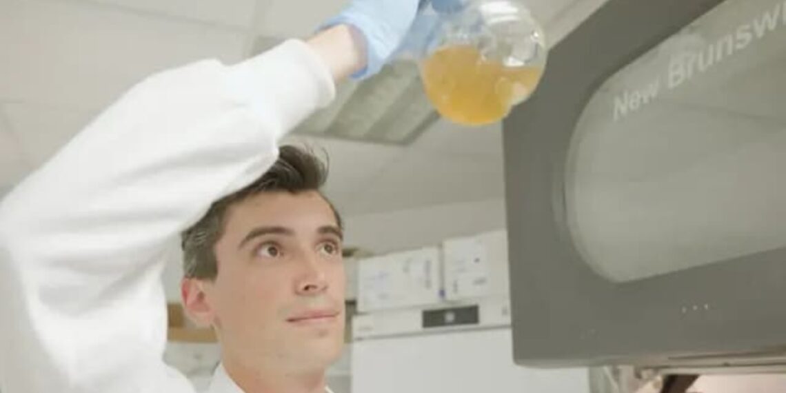 Νέα μέθοδος παραγωγής φαρμάκων μετατρέπει τα πλαστικά απόβλητα σε παρακεταμόλη μέσα σε 24 ώρες