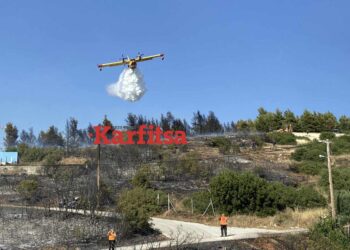 Βελτιωμένη η εικόνα της πυρκαγιάς στην Ευκαρπία Θεσσαλονίκης (Φωτό+Video)