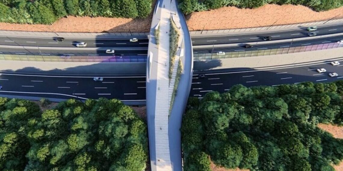 Νίκος Ταχιάος: Το Flyover αλλάζει την πόλη με ρυθμούς-ρεκόρ