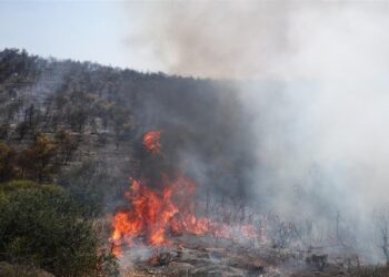 Σε ύφεση η φωτιά που καίει δάσος στο Κεφαλοχώρι Σερρών
