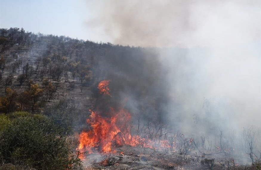 Σε ύφεση η φωτιά που καίει δάσος στο Κεφαλοχώρι Σερρών
