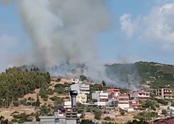 Μαίνεται η φωτιά στην Ευκαρπία – Στη μάχη 4 πυροσβεστικά αεροσκάφη (Φωτό+Video)