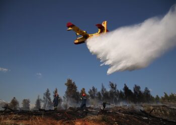 Βελτιωμένη η εικόνα της πυρκαγιάς στην Ευκαρπία Θεσσαλονίκης (Φωτό+Video)