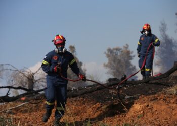 Βελτιωμένη η εικόνα της πυρκαγιάς στην Ευκαρπία Θεσσαλονίκης (Φωτό+Video)