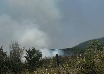Θεσσαλονίκη: Σε ύφεση η φωτιά στο Ωραιόκαστρο