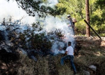 Φωτιά στη Χίο: Εξετάζεται σοβαρότατα το ενδεχόμενο οργανωμένης εγκληματικής ενέργειας