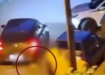 Ελεύθερος με περιοριστικούς όρους ο 34χρονος που κλώτσησε και πάτησε γατάκι με το αυτοκίνητό του