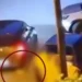 Ελεύθερος με περιοριστικούς όρους ο 34χρονος που κλώτσησε και πάτησε γατάκι με το αυτοκίνητό του