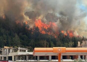 Συναγερμός για πυρκαγιά στην Καβάλα (VIDEO)