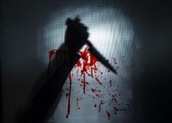 Σε δίκη η «μέγαιρα» του Φοίνικα