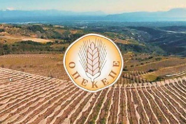 Δίκη ΟΠΕΚΕΠΕ: Καταπέλτης η Eυρωπαία εισαγγελέας για τους 7