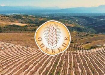 Δικογραφία για Βορίδη και Αυγενάκη στη Βουλή