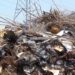 Ωραιόκαστρο: Ο επαρχιακός δρόμος που έγινε χωματερή – Σοκαριστικές εικόνες (Video)