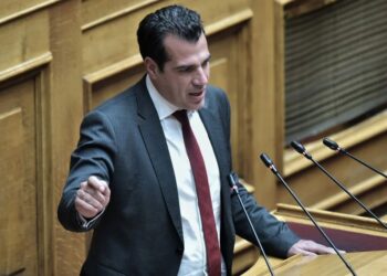 Μάθημα πολιτικού ήθους από τον Πλεύρη στη Βουλή - Πλεύρης