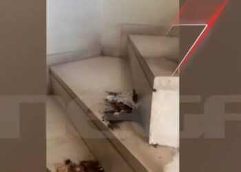 Καυγάδες, απειλές και συλλήψεις: Με «βαρύ» ιστορικό βίας η 40χρονη ηθοποιός που επιτέθηκε με κατσαβίδι