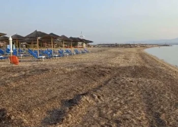 Καταγγελία! Καθαρίζουν τα beach bar αλλά οι παραλίες είναι γεμάτες φύκια στη Νέα Ποτίδαια!