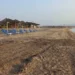 Καταγγελία! Καθαρίζουν τα beach bar αλλά οι παραλίες είναι γεμάτες φύκια στη Νέα Ποτίδαια!