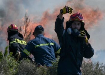 ΕΚΤΑΚΤΗ ΕΠΙΚΑΙΡΟΤΗΤΑ: Φωτιά σε δασική έκταση στην Αγία Μαρίνα Γραμματικού