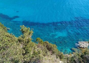 Χαλκιδική: 7χρονο παρασύρθηκε με φουσκωτό στα ανοιχτά της Νέας Ηράκλειας – Το έσωσε ο πατέρας του