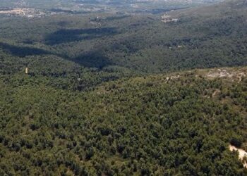 Απαγόρευση κυκλοφορίας σε Σέιχ Σου και άλλες δασικές εκτάσεις λόγω αυξημένου κινδύνου πυρκαγιάς