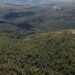 Απαγόρευση κυκλοφορίας σε Σέιχ Σου και άλλες δασικές εκτάσεις λόγω αυξημένου κινδύνου πυρκαγιάς