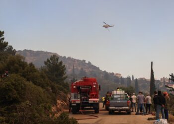 Στάχτη 62.000 στρέμματα δασικής και χορτολιβαδικής έκτασης στη Χίο