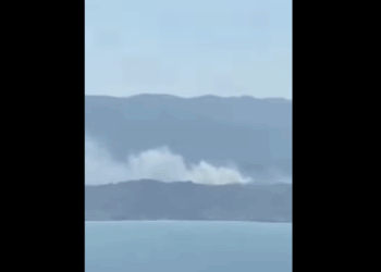 Φωτιά στη Λέσβο – Σηκώθηκαν και εναέρια, εστάλη προειδοποιητικό 112 (video)