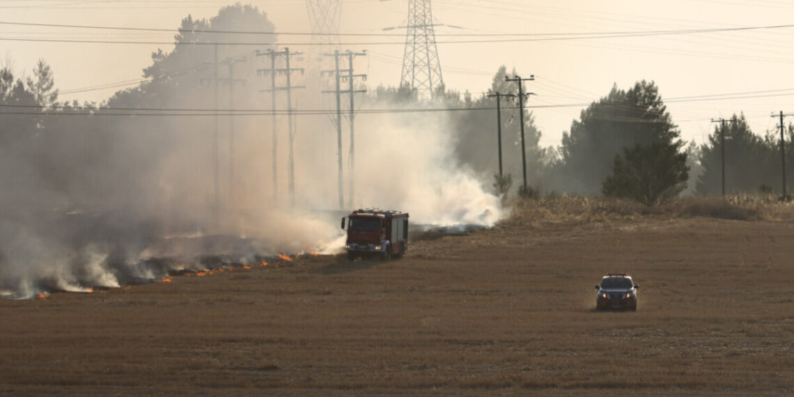 Φωτιά κοντά στα διόδια Μοσχοχωρίου στη Λάρισα (photo)